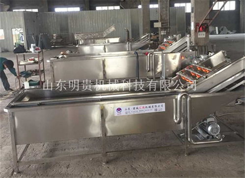 梅州氣泡清洗機 多功能氣泡清洗機 山東明貴機械 誠信商家