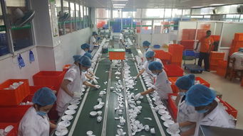 省電飯堂洗碗機尺寸