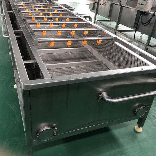 那曲地區豆角清洗機,諸城洗刷刷機械,優質豆角清洗機