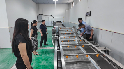 崇陽:鄉村工坊 讓農產品從田間走向廣闊市場