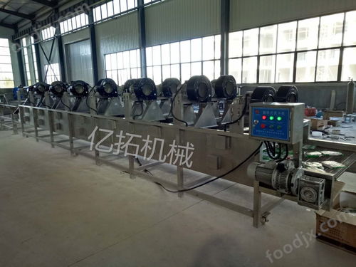 果蔬清洗風(fēng)干線